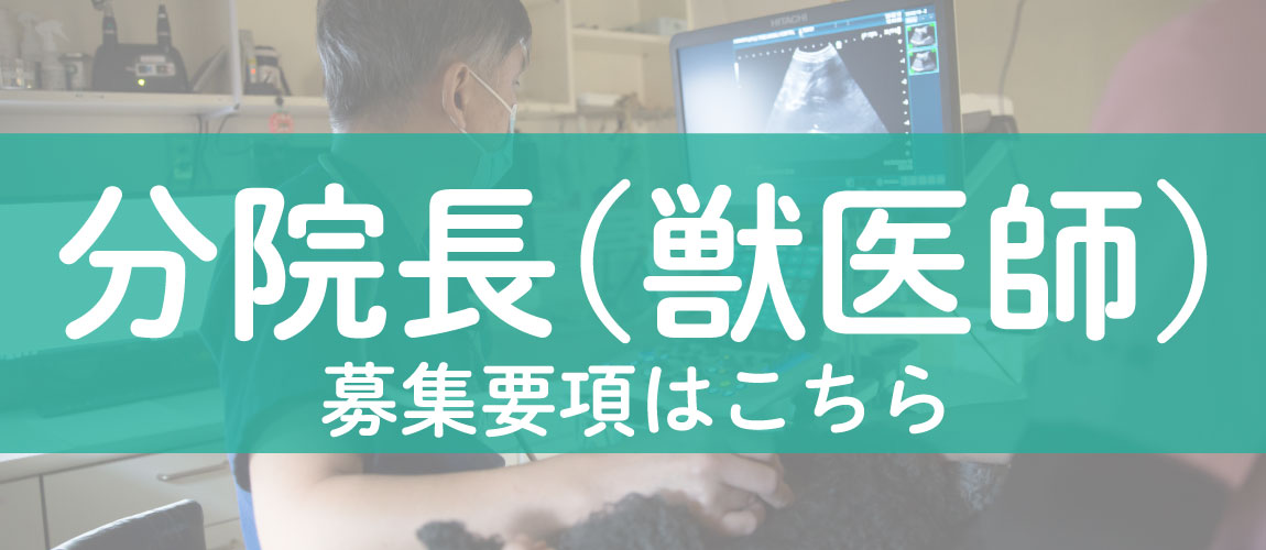 採用情報|りんごの樹動物病院|獣医師・看護師・トリマー（正社員（新卒・中途）、アルバイト、パート募集