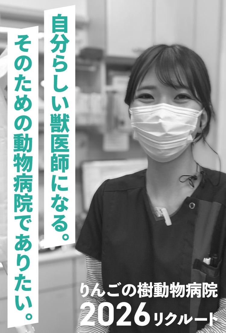 採用情報|りんごの樹動物病院|獣医師・看護師・トリマー(正社員(新卒・中途)、アルバイト、パート募集
